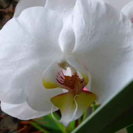 Above The 2 Comfortable בית נופש