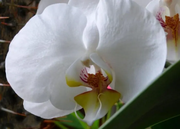 Above The 2 Comfortable 別荘